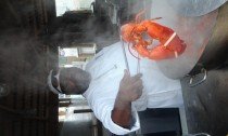 Chef Andre Stewmans Downtown Lobster Pound
